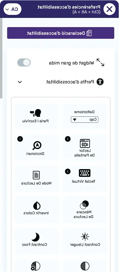 catalan website accessibility widget