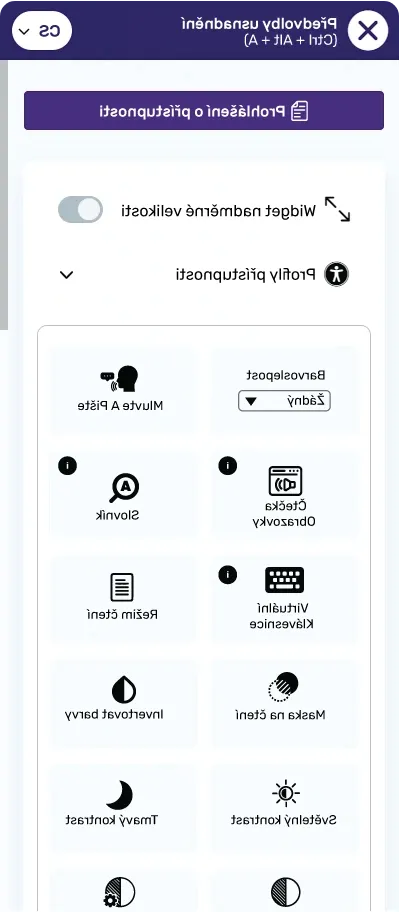 czech website accessibility widget