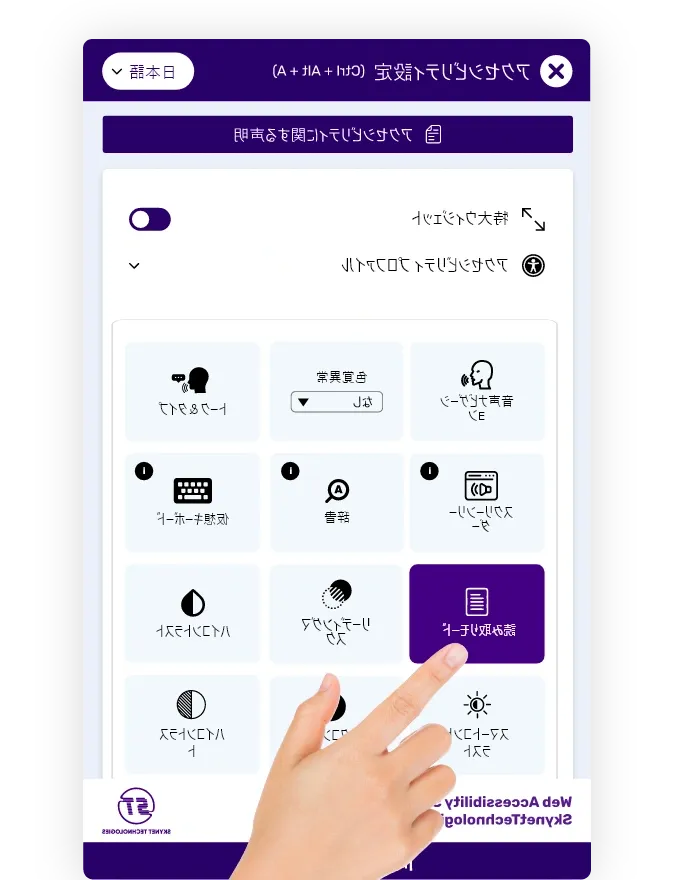 Japanese website accessibility solution